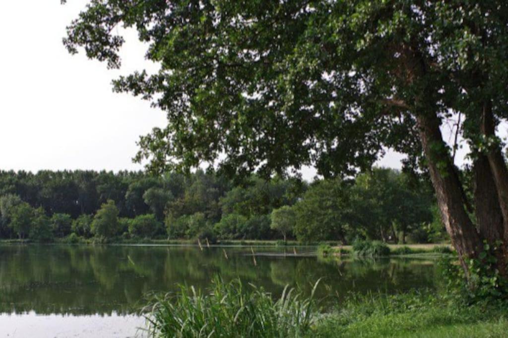Apartment 28 A L'oree De L'eau Cloyes-sur-le-Loir
